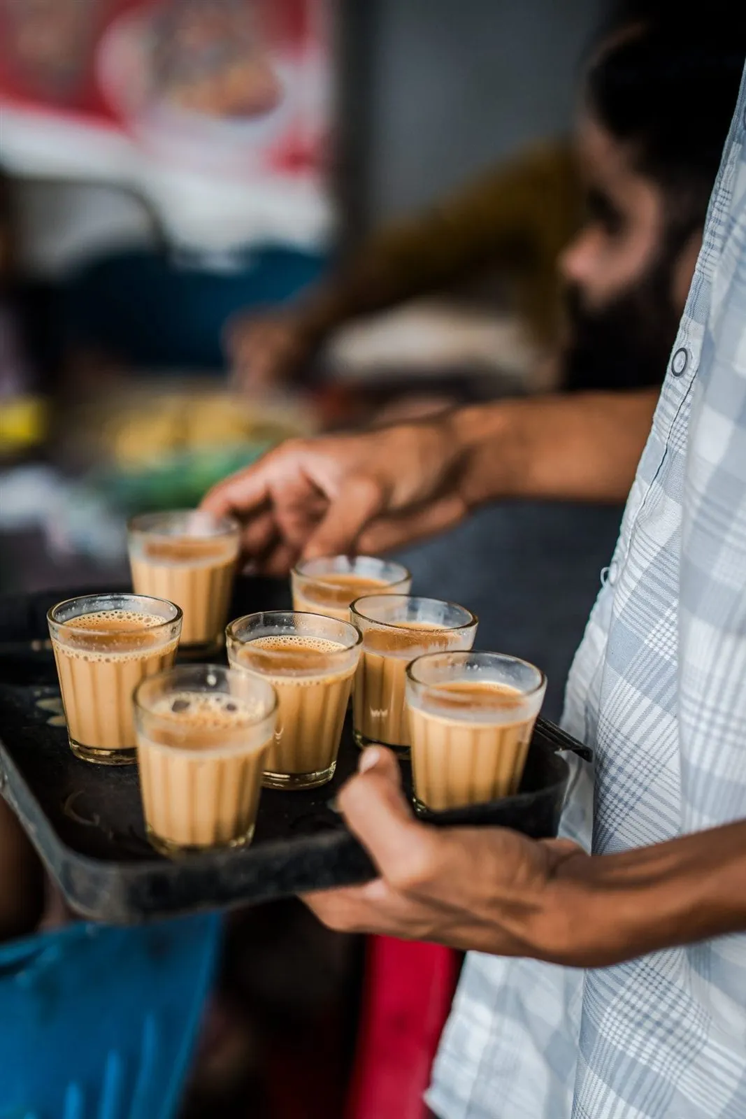 Gir Trip — photo 5