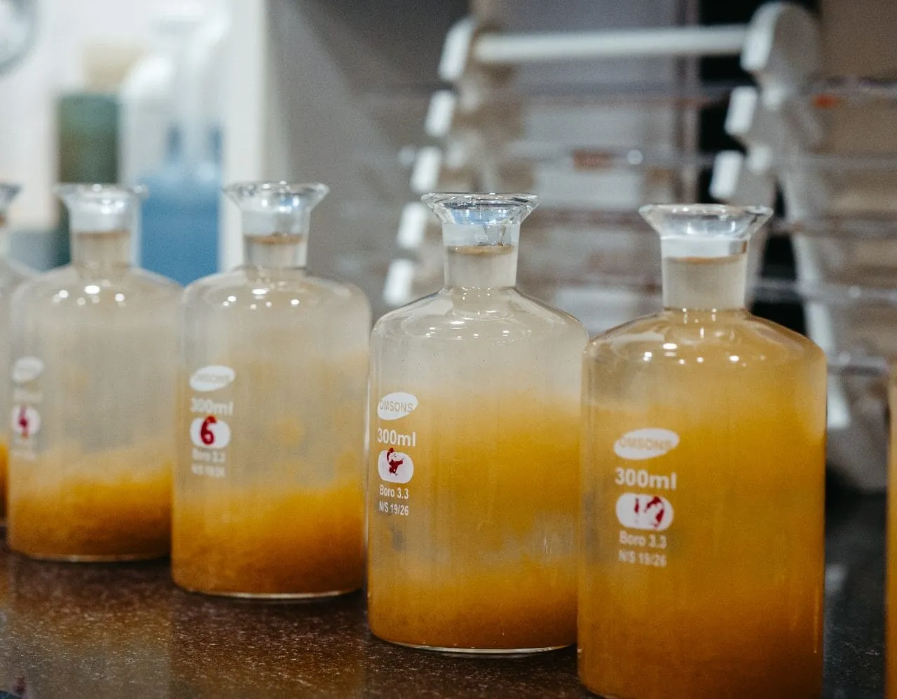 Laboratory — photo 3