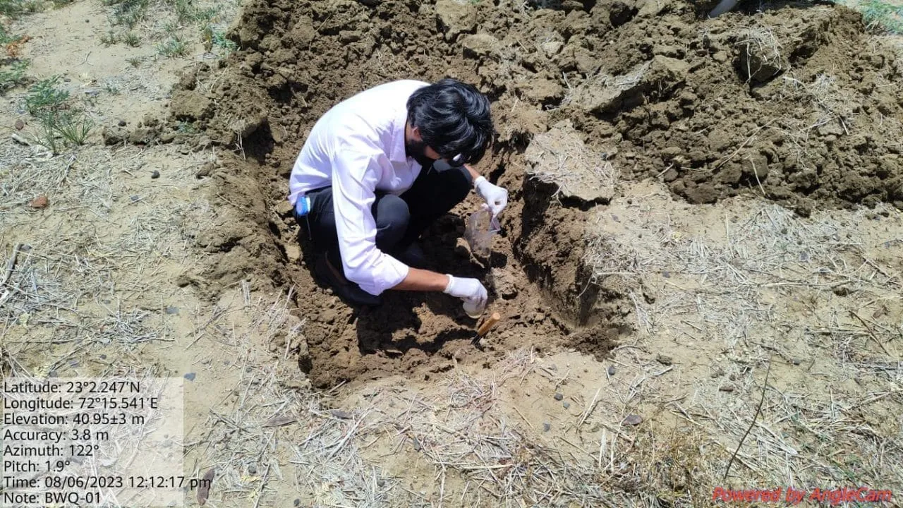 Site Remediation — photo 14