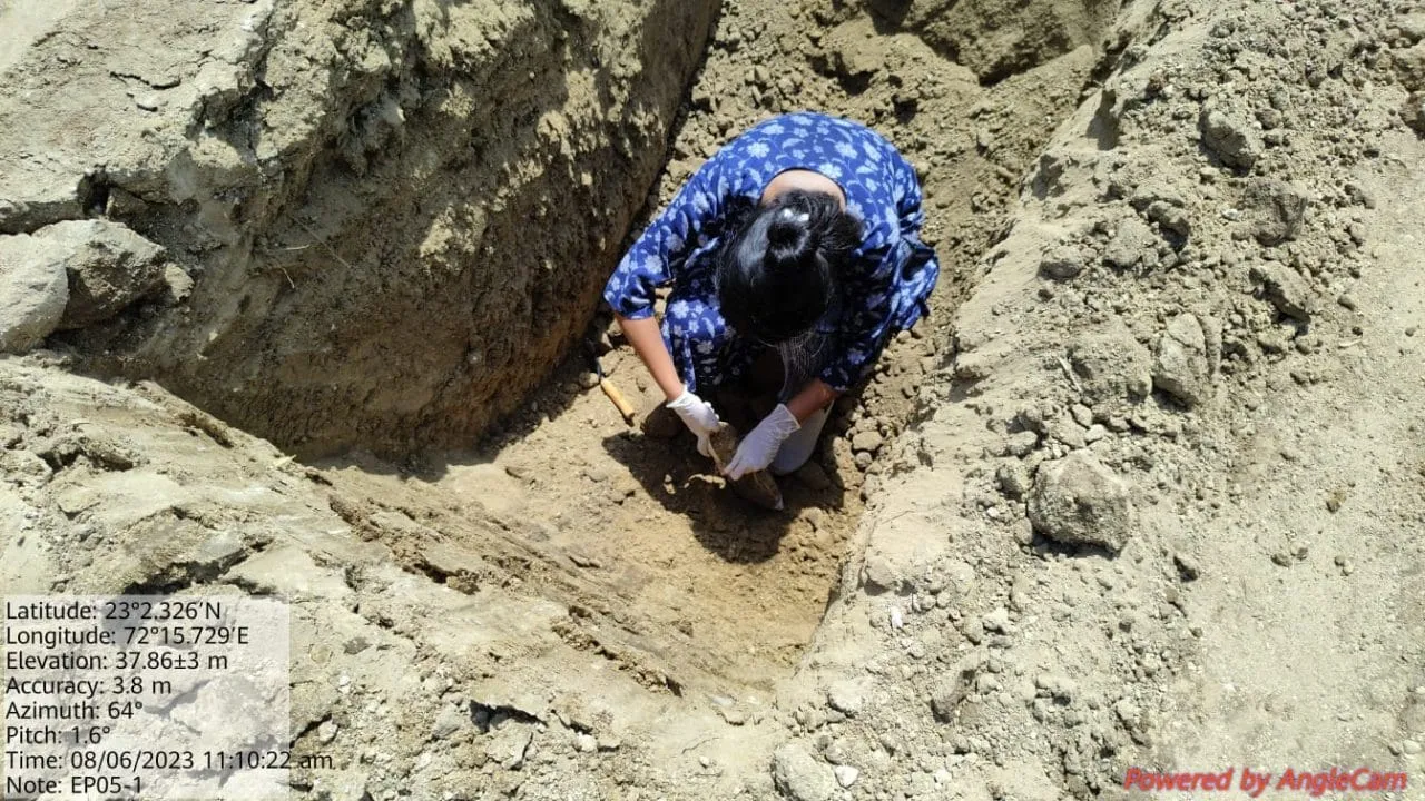 Site Remediation — photo 15