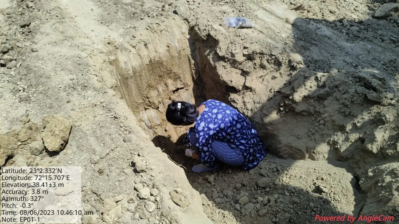 Site Remediation — photo 16
