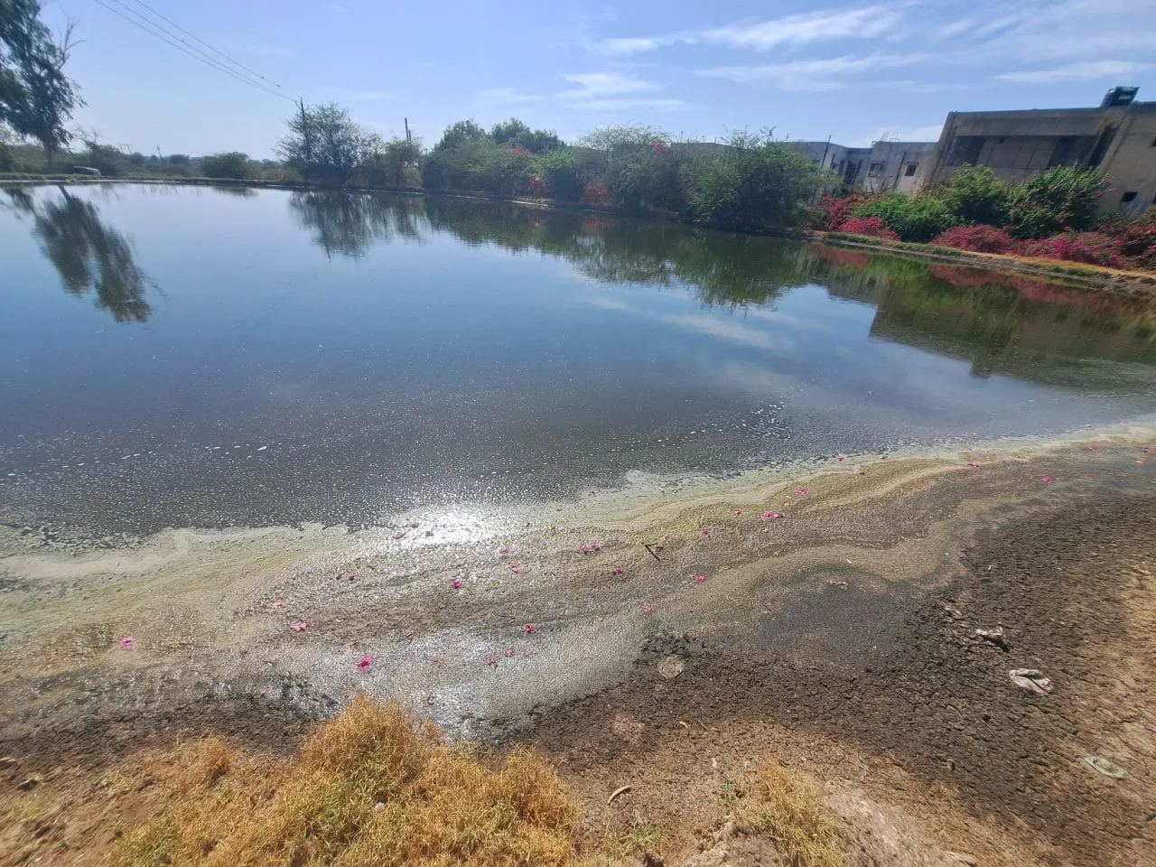 Site Remediation — photo 2