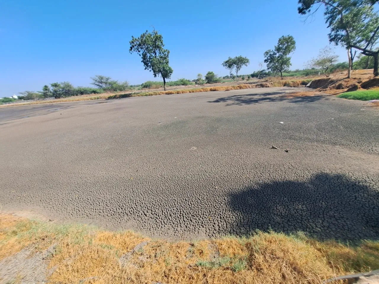 Site Remediation — photo 3