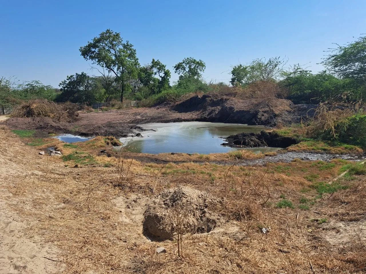 Site Remediation — photo 7